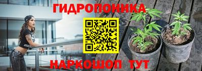 ГАЛЛЮЦИНОГЕННЫЕ ГРИБЫ Тулун