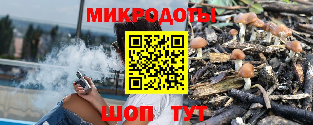 Мыски  Псилоцибиновые грибы мицелий  наркота  Вход с VPN 